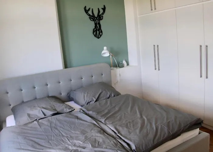 Altes Forstamt غرنباخ